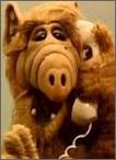 Alf